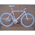 Gute Qualität Rennrad Fixie Fahrrad (FP-FGB005)